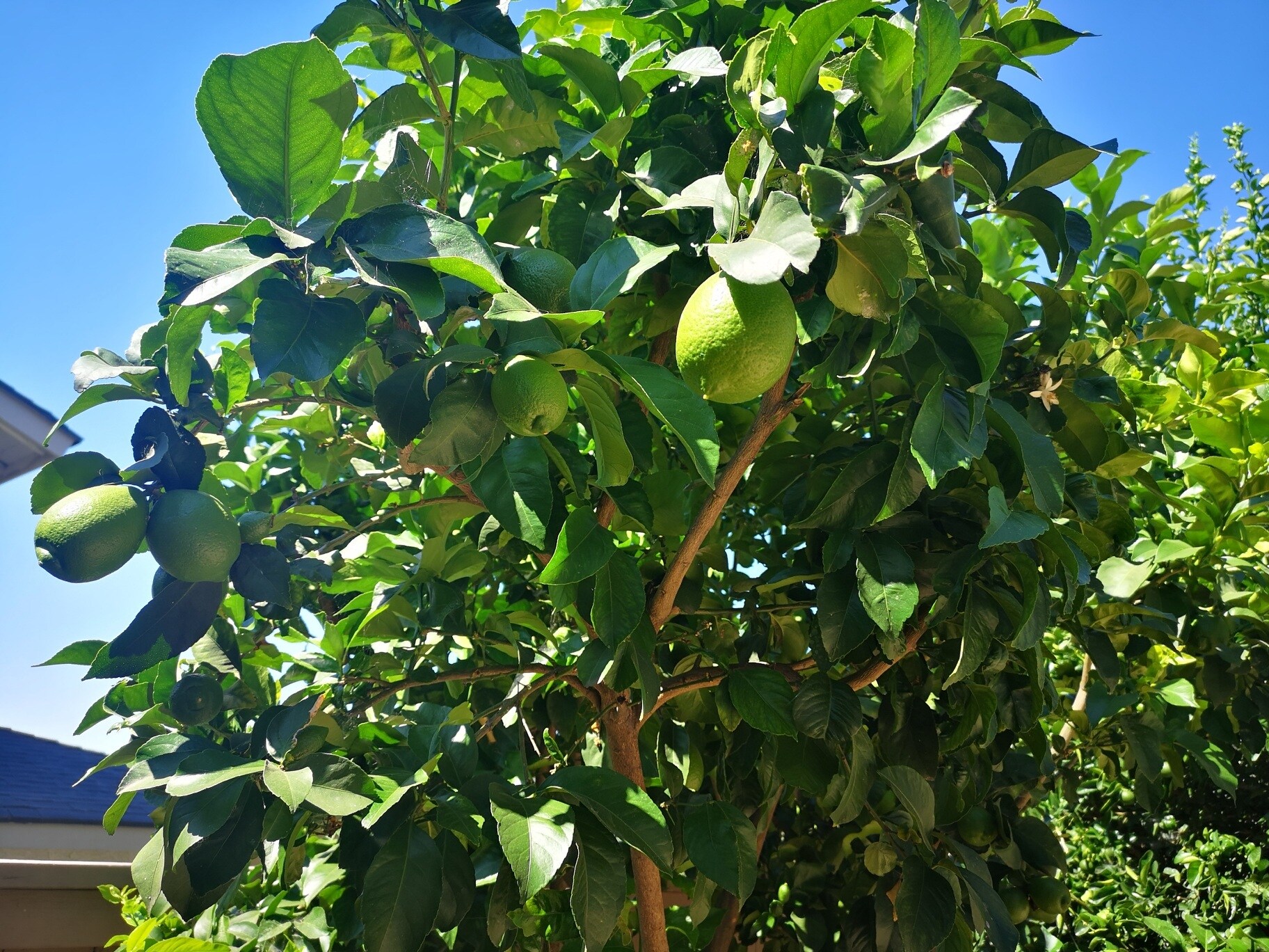 Building Photo - 609 S College Ave