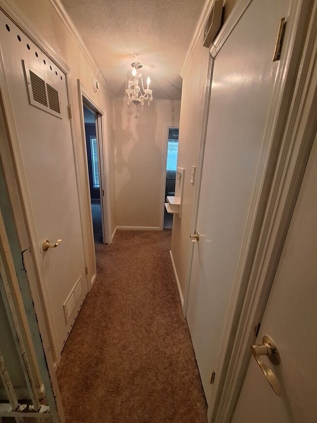 Building Photo - Cute CUTE 3bedroom