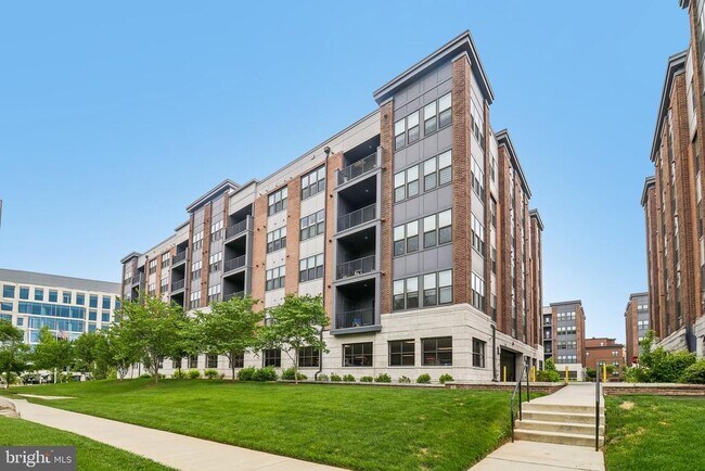 Building Photo - 3503 Bellflower Ln