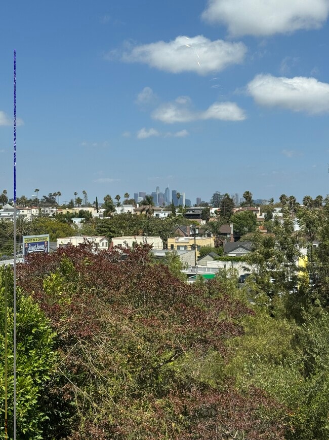 Building Photo - 1224 S Orange Dr
