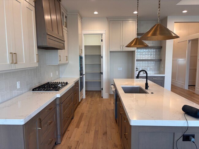 Building Photo - Brand New 4 bed 3 bath home in Desert Canyons