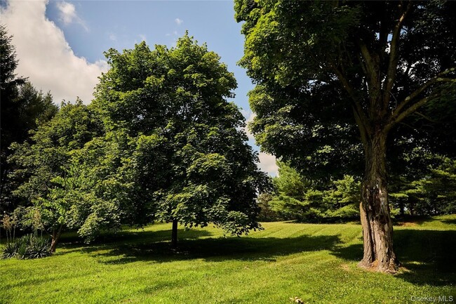 Building Photo - 41 Seelbach Ln