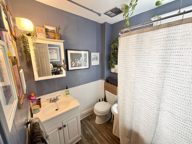 Building Photo - 1 Bedroom in Burlington VT Available 7/1!