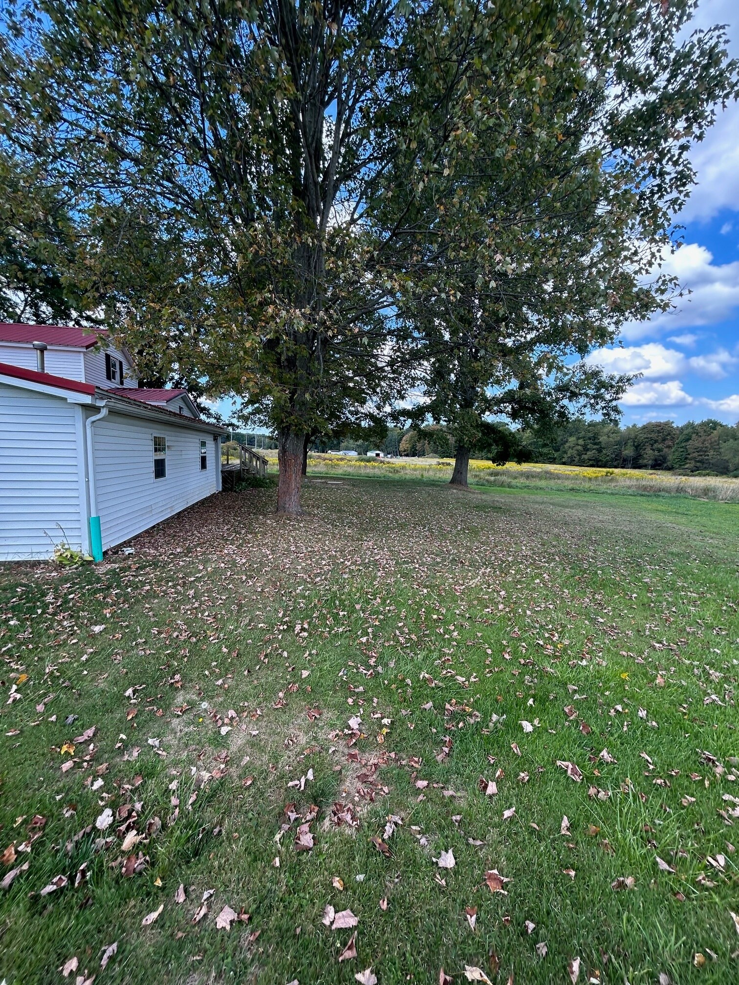 Building Photo - 24648 Plank Rd
