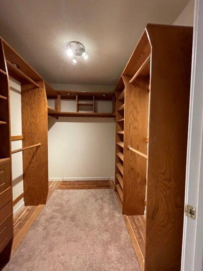 Building Photo - Large Open 4 Bedroom