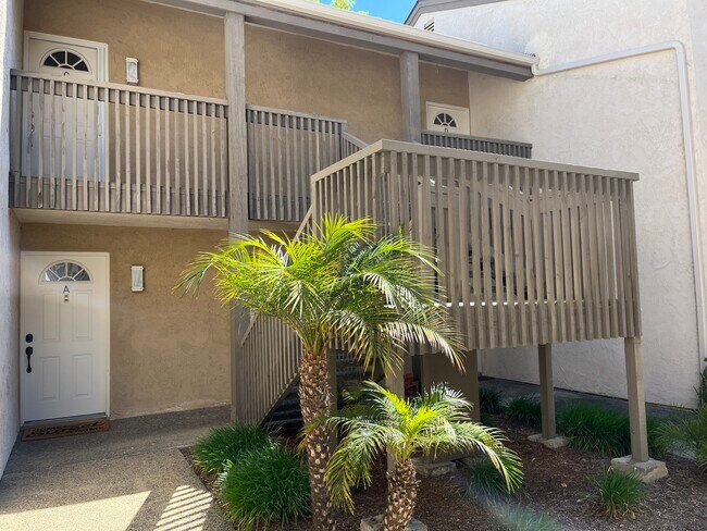 Building Photo - 8604 Via Mallorca