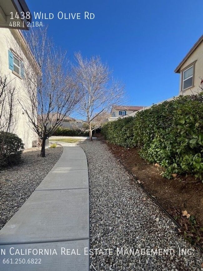 Building Photo - 1438 Wild Olive Rd