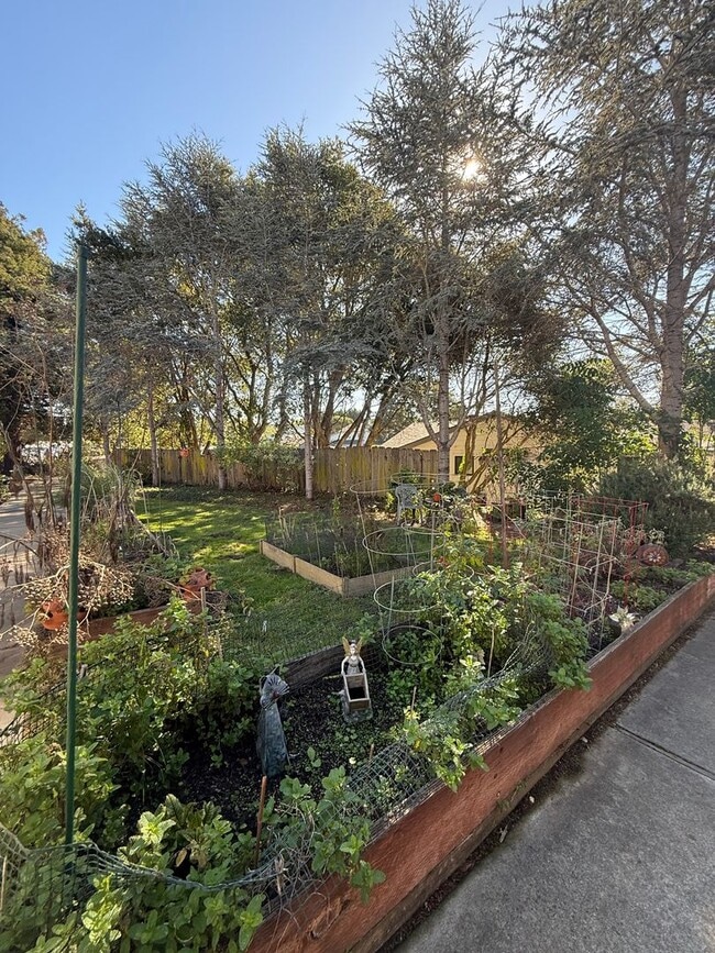 Building Photo - Low income 62+ 1 bedroom at Vista Prieta!