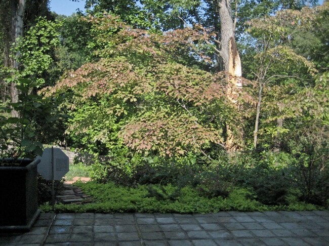 Building Photo - 415 Burgoyne Rd