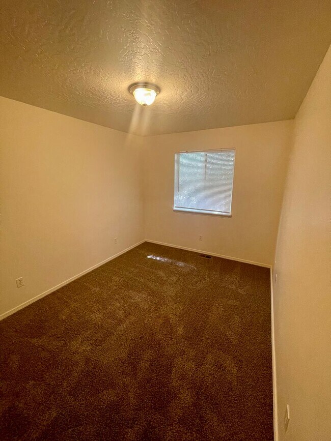 Building Photo - 3484 Vela Pl