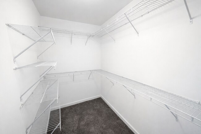 Building Photo - Clean 5 Bedroom Collins Hill Home with First Floor Suite and Oversized Master