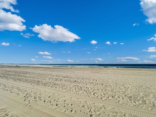 Building Photo - Beautiful 2BD/2BA Fully Remodeled w/ Reserved Parking & AC in Mission Beach!