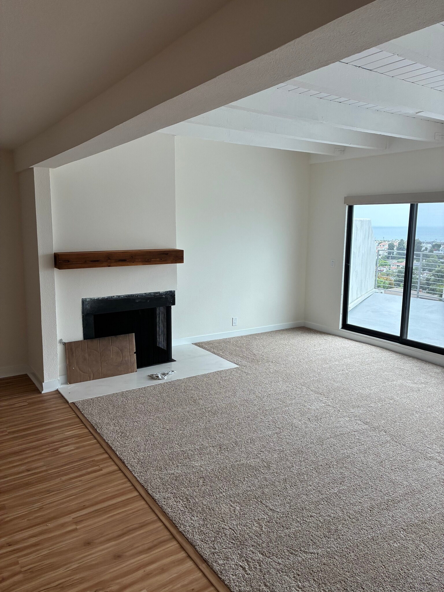 living room - 736 Gould Ave