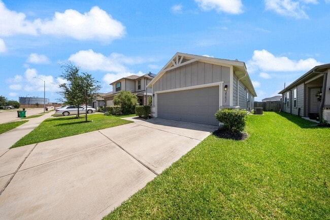 Primary Photo - 25631 Bottlebrush Sedge St