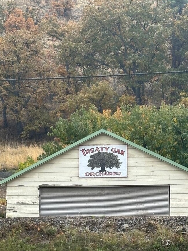 Building Photo - Beautiful views of Mt. Hood!
