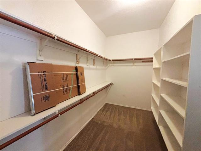 Building Photo - 1028 Hickory Bend Ln