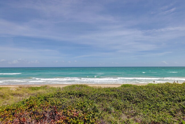 Building Photo - 1555 NE Ocean Blvd