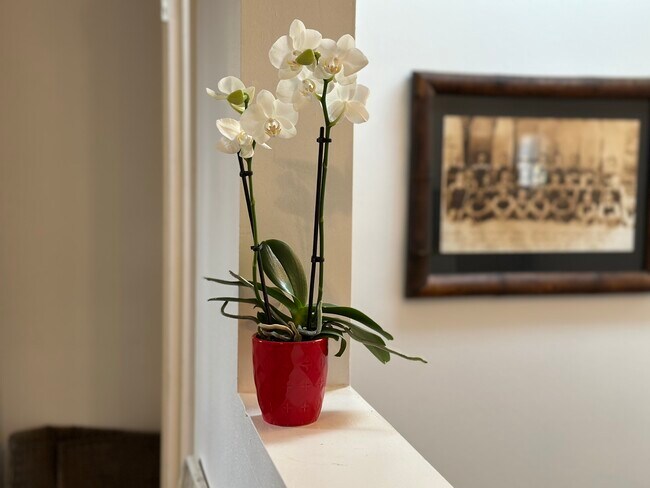 Building Photo - 641 Copeland Ct