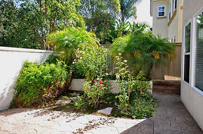 Building Photo - Spacious 5 Bedroom Family Home in Rancho del Oro!