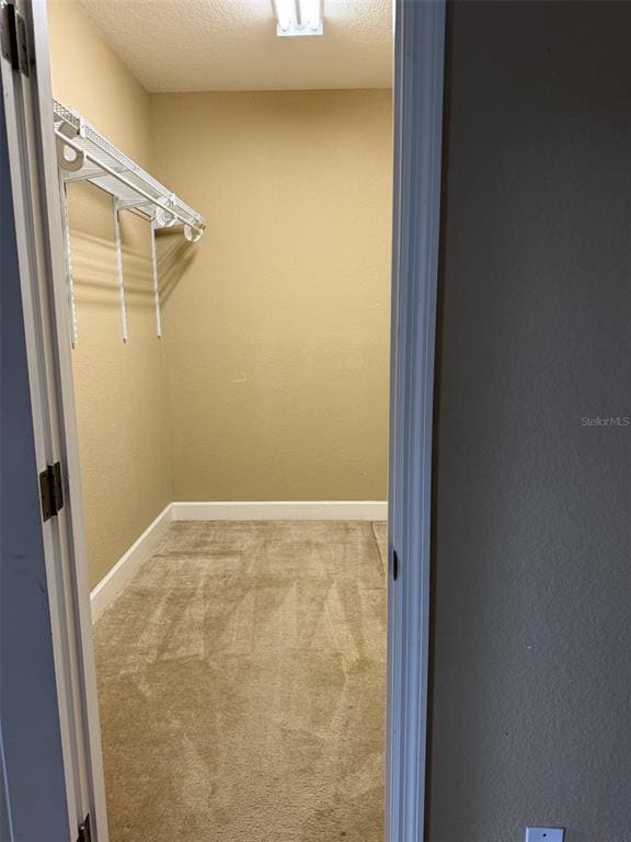 Building Photo - 3613 Summerlin Ave