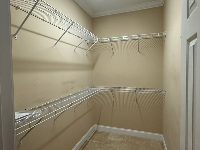 Building Photo - Beautiful Condo located in North Johnson City!