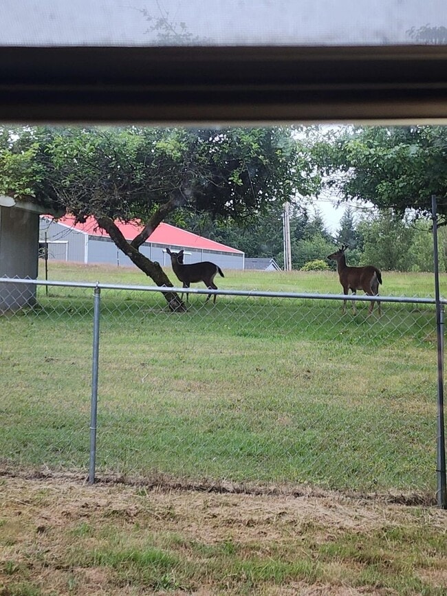 Building Photo - 3 BEDROOM HOME SOUTH SIDE OF SHELTON!