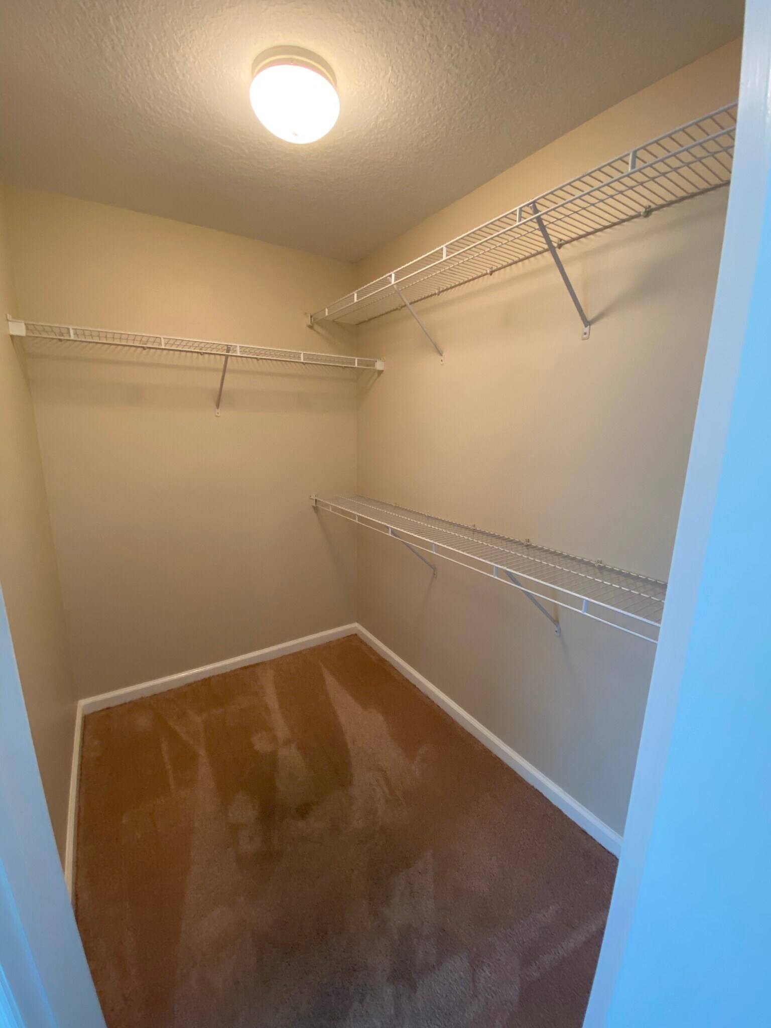 Walk in master closet - 9857 Baywinds Dr Apt 9112