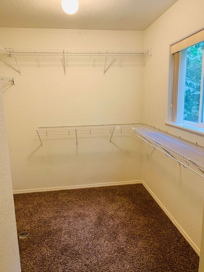 Building Photo - Single Level - 3 Bed - 2 Bath - Pet Friendly