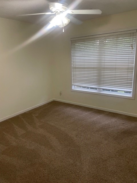 Building Photo - 2980 Kaempfer Cir