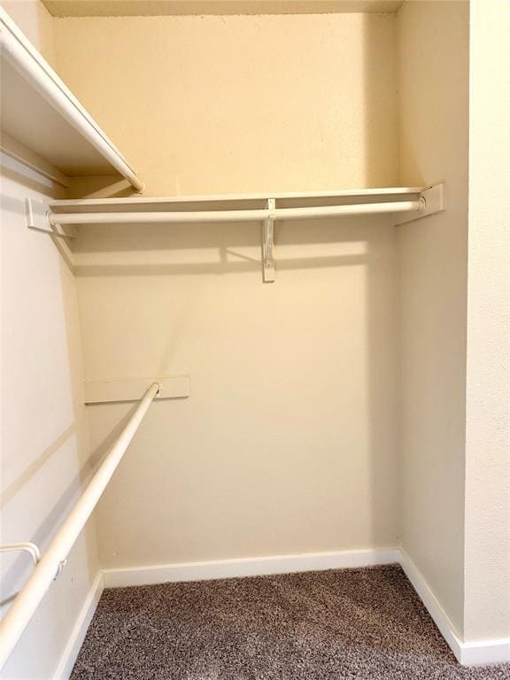 Building Photo - 20805 Trotters Ln