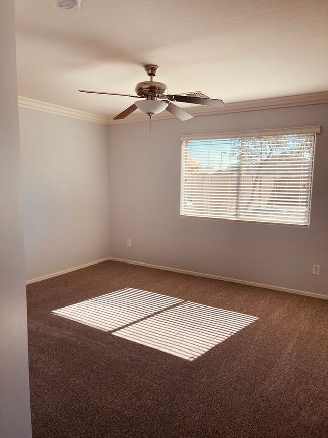 Building Photo - COMING SOON! Beautiful 3 Bed 2 Bath Home in Buckeye