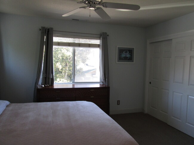 Building Photo - Cute and Spacious One Bedroom Condo