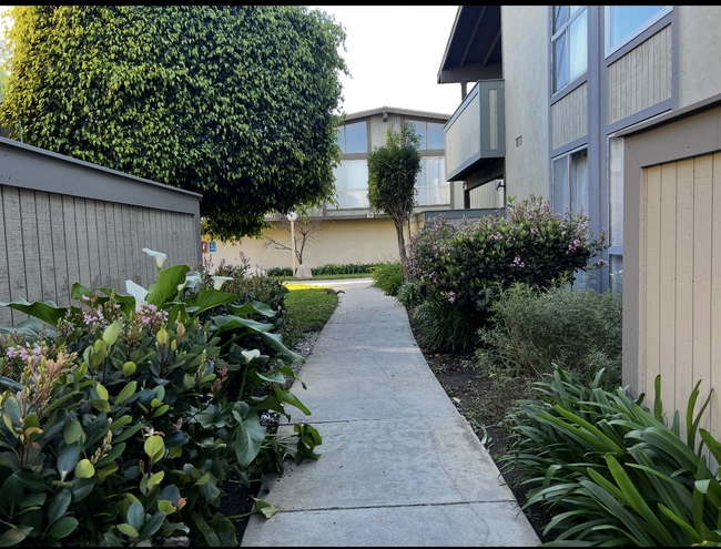 Building Photo - 806 Coriander Dr