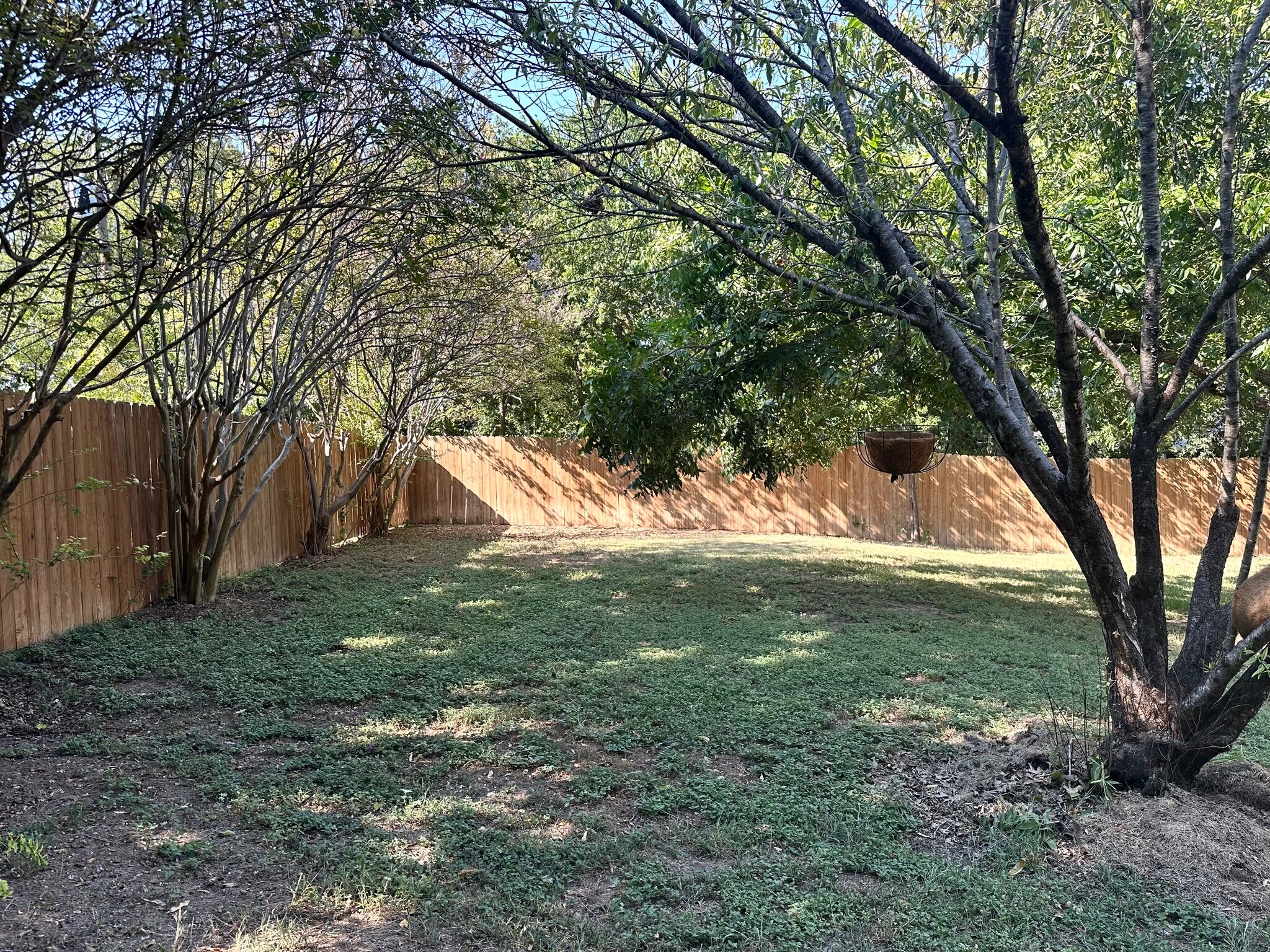 Backyard - 1605 Gatlinburg Dr