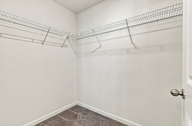 Building Photo - 100 Cotton Bluff Ct