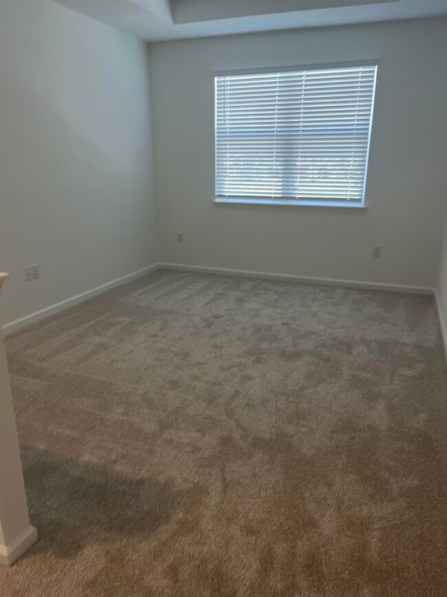 Building Photo - 207 Silver Myrtle Ct