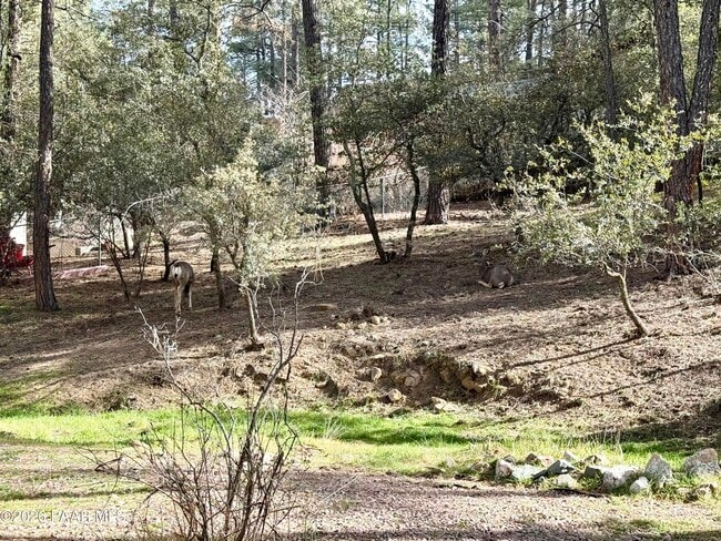 Building Photo - 841 E Pine Knoll Dr