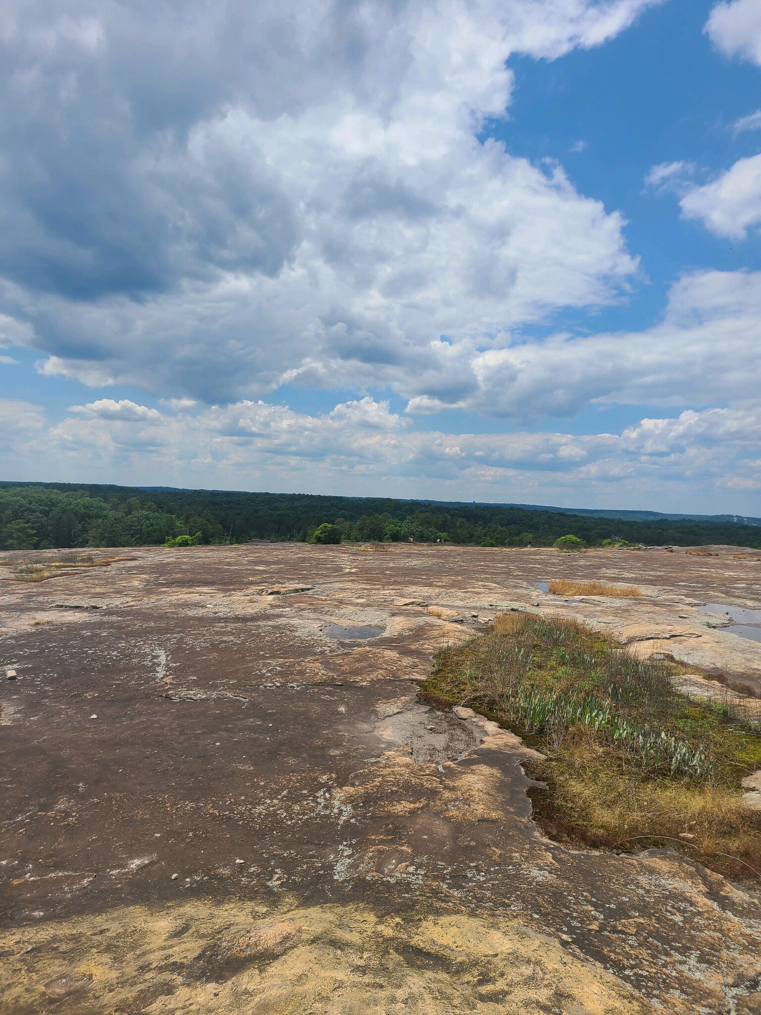 Arabia Mountain - 4705 Lantern Ct