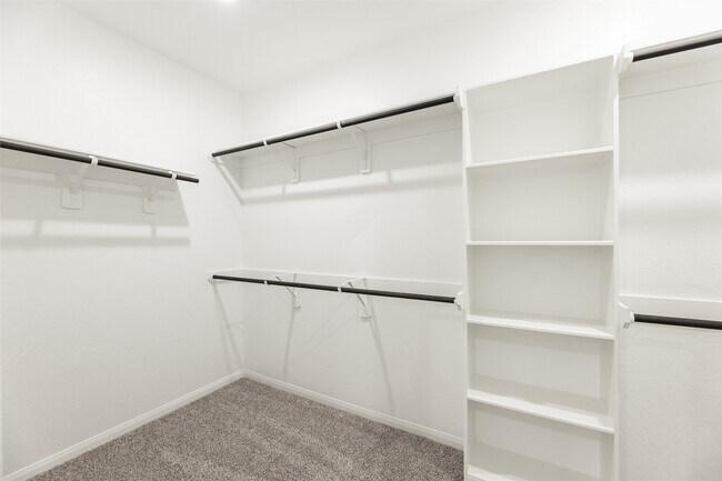 Building Photo - 13118 Everpine Trl