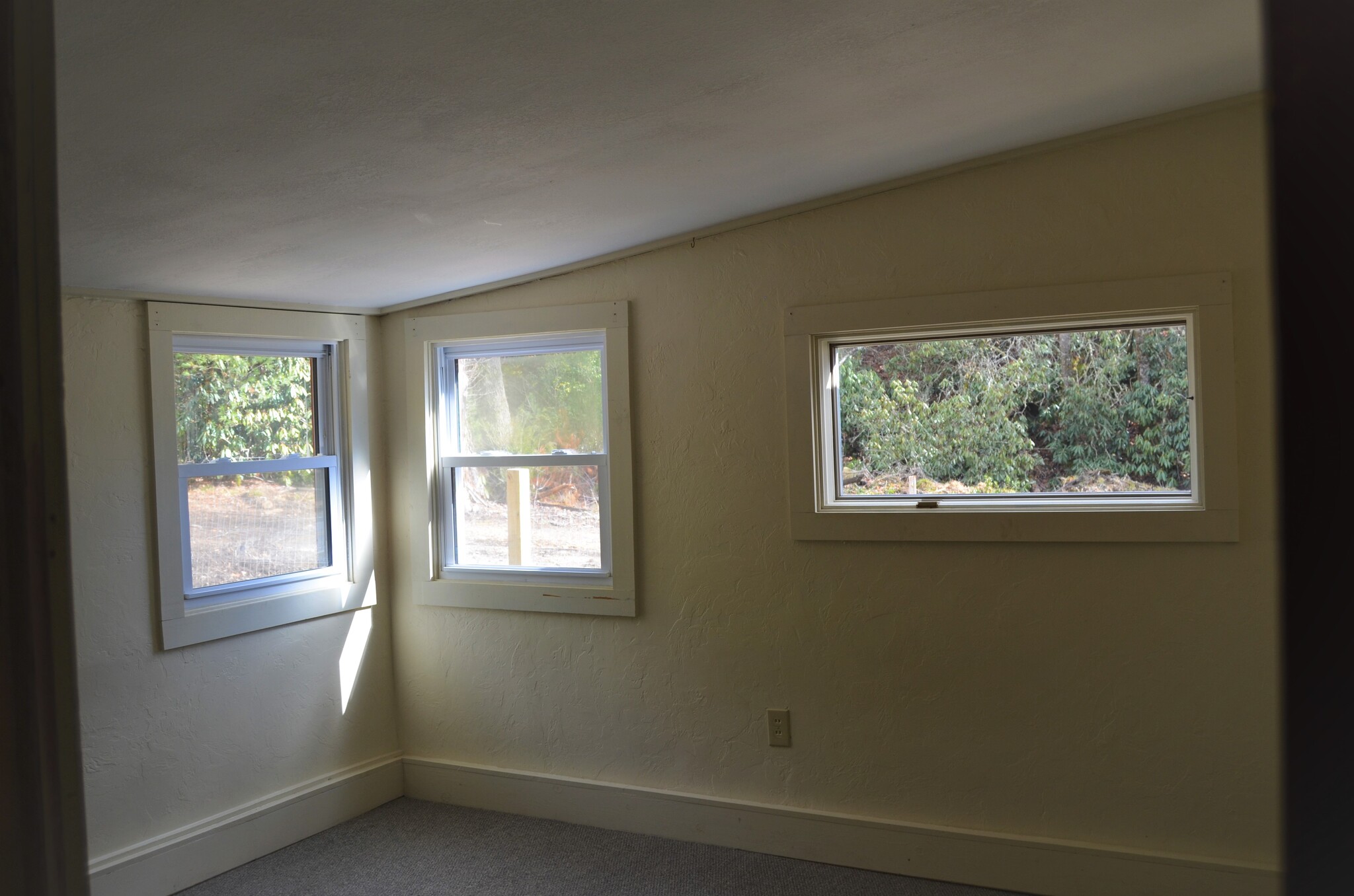 front bedroom - 7009 Greenville Hwy