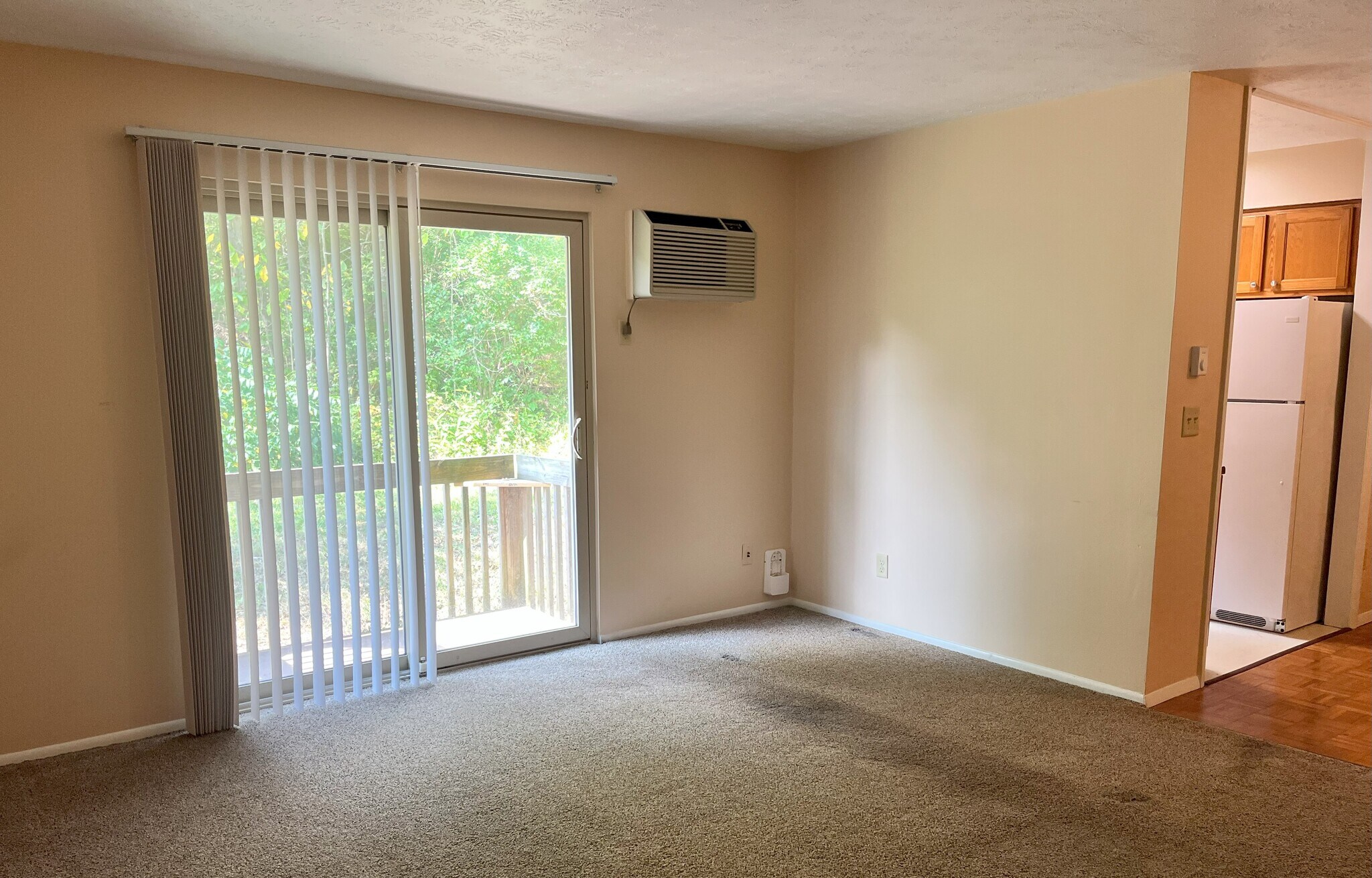 Lving Room balcony View - 5609 Happy Hollow Rd