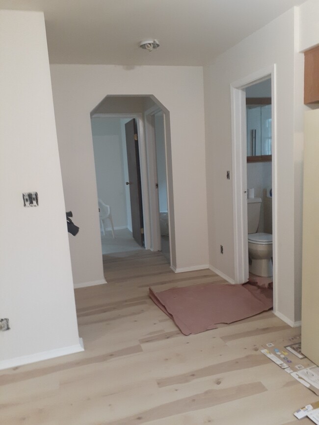 Hallway with shelving and a storage closet. - 42 Brighton 5th Ct