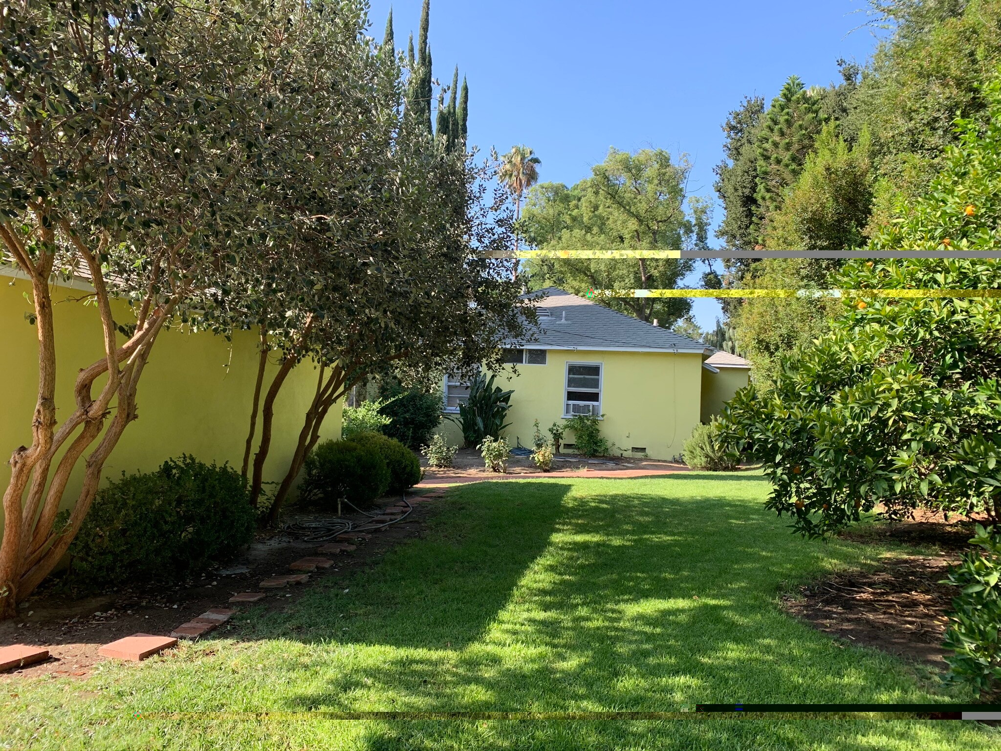 Back yard - 4435 12th St