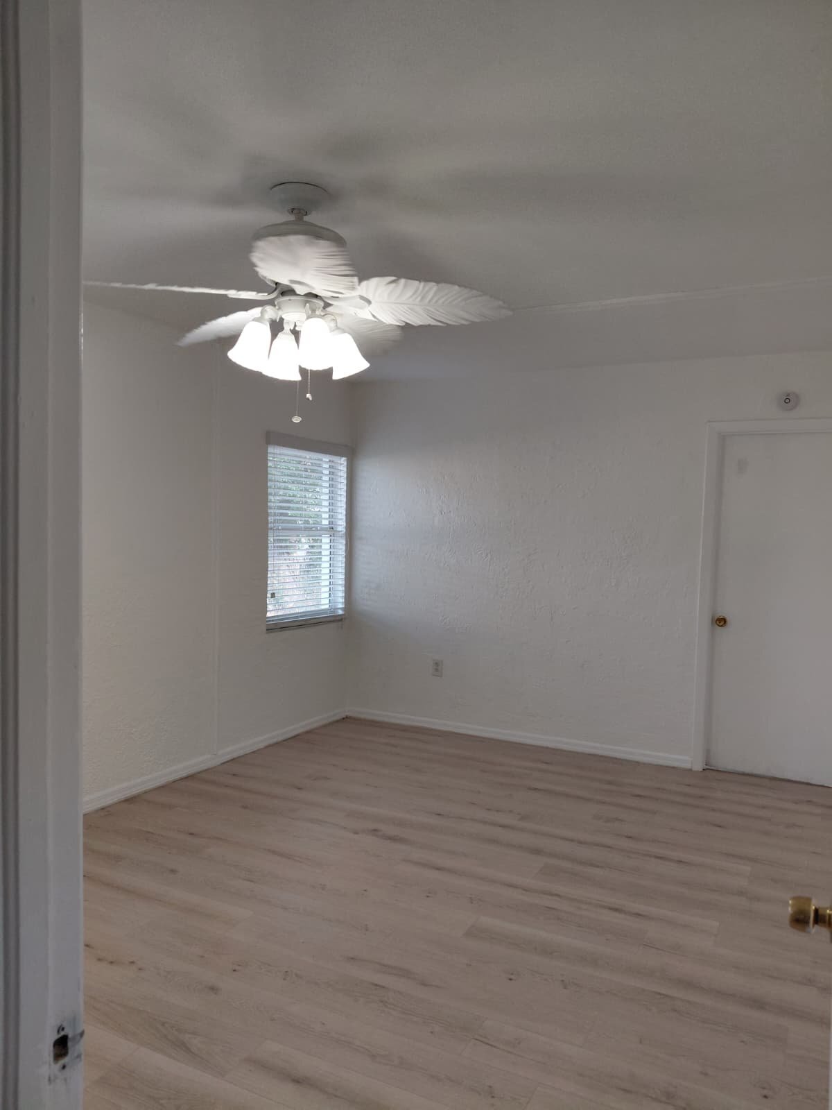 Building Photo - 1003 39th Ave W