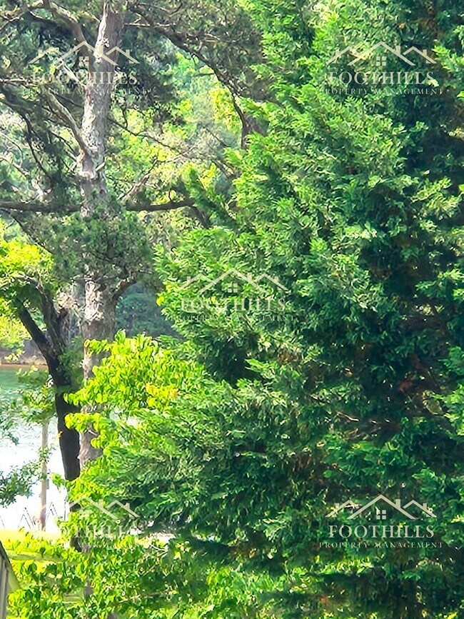 Building Photo - 128 Hudgins Lake Rd