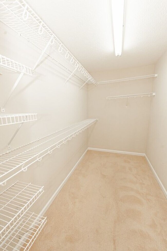 Building Photo - 8740 Lindsey Ln