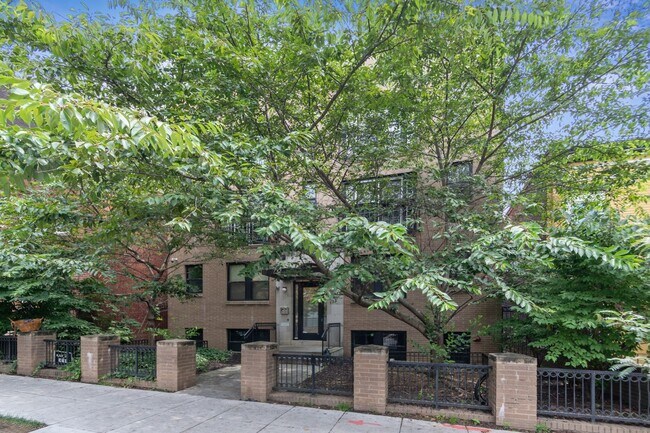 Building Photo - Spacious and Light Filled One Bedroom in Petworth with Parking!