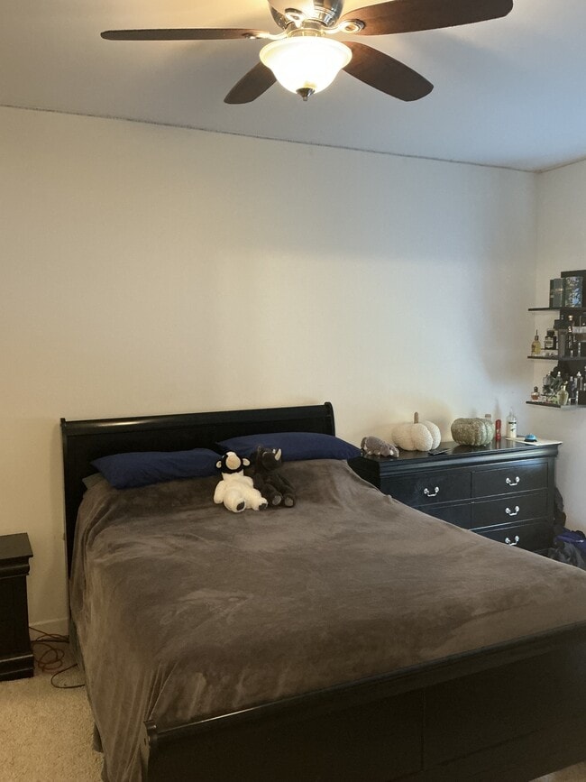 Building Photo - 291 North St