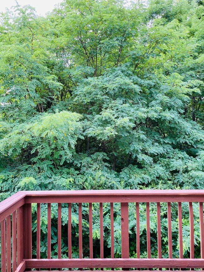 Building Photo - 3 bed/2bath Townhome freshly painted!