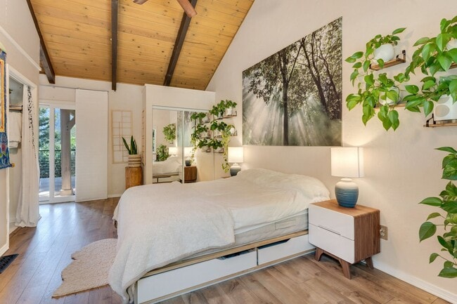 Building Photo - Boulder Creek Sanctuary! 50% off 1st months rent!